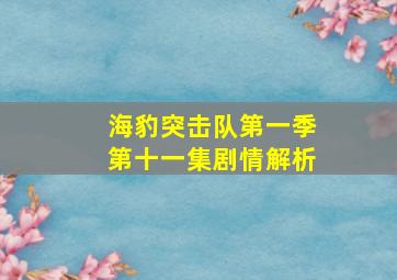 海豹突击队第一季第十一集剧情解析