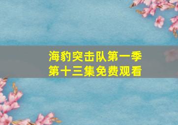 海豹突击队第一季第十三集免费观看