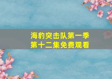 海豹突击队第一季第十二集免费观看