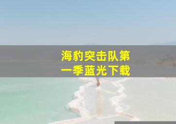 海豹突击队第一季蓝光下载