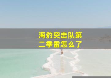 海豹突击队第二季雷怎么了