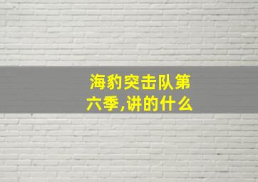 海豹突击队第六季,讲的什么