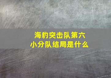 海豹突击队第六小分队结局是什么