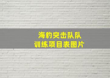 海豹突击队队训练项目表图片