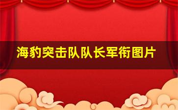 海豹突击队队长军衔图片