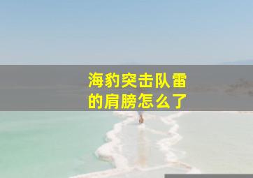 海豹突击队雷的肩膀怎么了