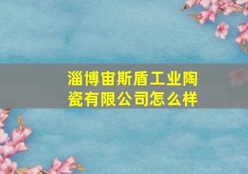 淄博宙斯盾工业陶瓷有限公司怎么样