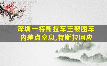 深圳一特斯拉车主被困车内差点窒息,特斯拉回应