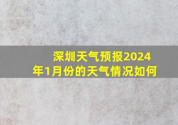 深圳天气预报2024年1月份的天气情况如何