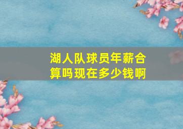 湖人队球员年薪合算吗现在多少钱啊