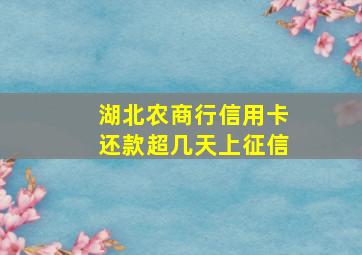 湖北农商行信用卡还款超几天上征信