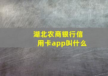 湖北农商银行信用卡app叫什么