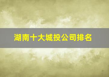 湖南十大城投公司排名