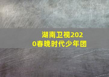 湖南卫视2020春晚时代少年团