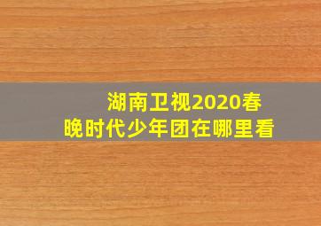 湖南卫视2020春晚时代少年团在哪里看