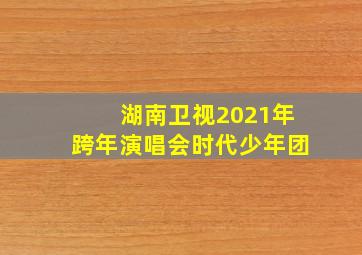 湖南卫视2021年跨年演唱会时代少年团