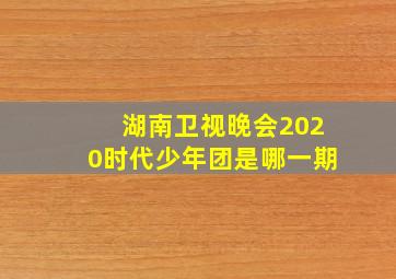 湖南卫视晚会2020时代少年团是哪一期