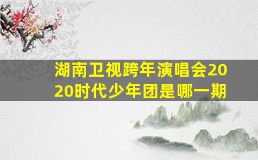 湖南卫视跨年演唱会2020时代少年团是哪一期