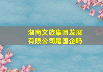 湖南文旅集团发展有限公司是国企吗