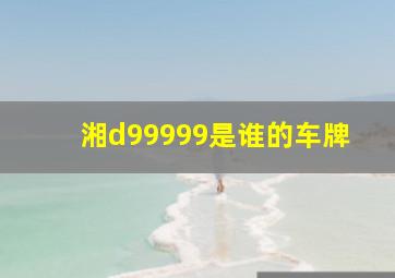 湘d99999是谁的车牌