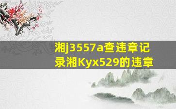 湘j3557a查违章记录湘Kyx529的违章