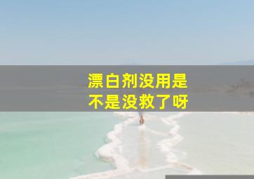 漂白剂没用是不是没救了呀