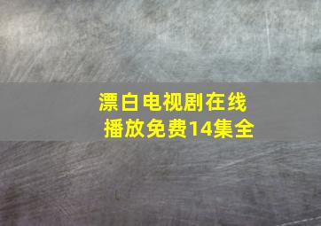 漂白电视剧在线播放免费14集全