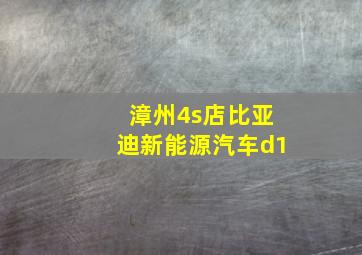 漳州4s店比亚迪新能源汽车d1