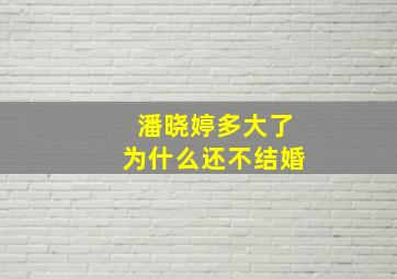 潘晓婷多大了为什么还不结婚