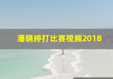 潘晓婷打比赛视频2018