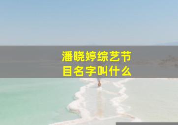 潘晓婷综艺节目名字叫什么