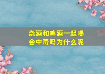 烧酒和啤酒一起喝会中毒吗为什么呢