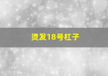 烫发18号杠子