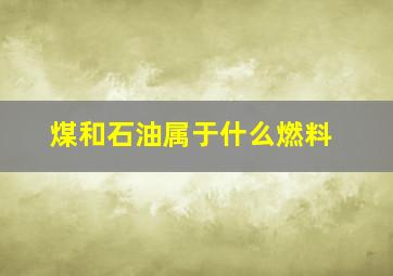 煤和石油属于什么燃料