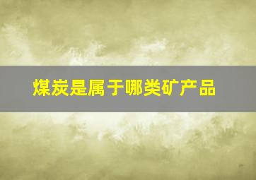 煤炭是属于哪类矿产品