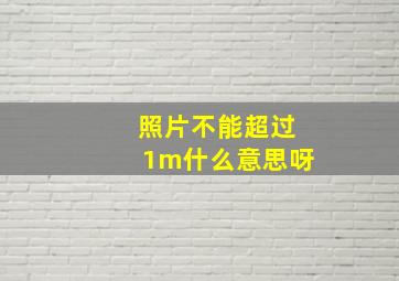 照片不能超过1m什么意思呀