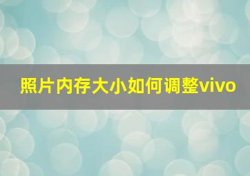 照片内存大小如何调整vivo