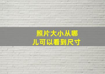 照片大小从哪儿可以看到尺寸