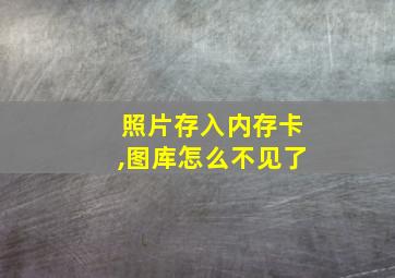 照片存入内存卡,图库怎么不见了