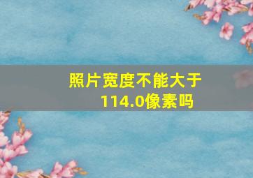 照片宽度不能大于114.0像素吗