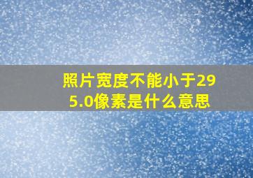 照片宽度不能小于295.0像素是什么意思