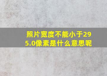 照片宽度不能小于295.0像素是什么意思呢