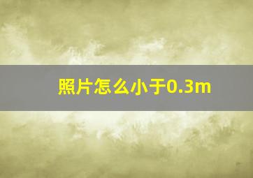 照片怎么小于0.3m