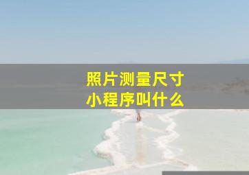 照片测量尺寸小程序叫什么