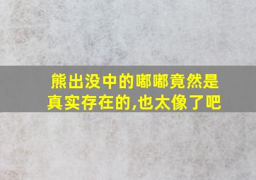 熊出没中的嘟嘟竟然是真实存在的,也太像了吧