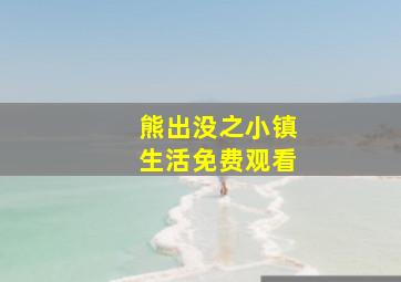 熊出没之小镇生活免费观看