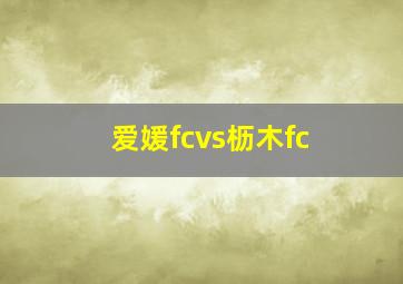 爱媛fcvs枥木fc