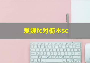 爱媛fc对枥木sc