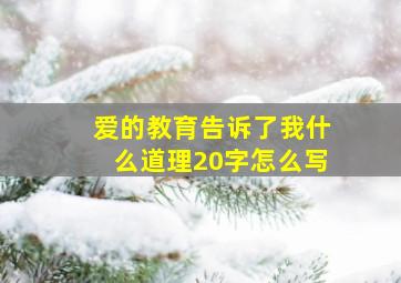 爱的教育告诉了我什么道理20字怎么写