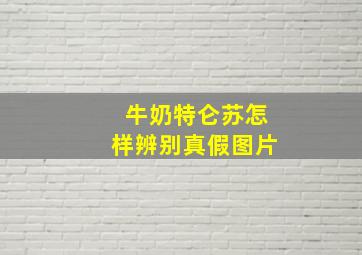 牛奶特仑苏怎样辨别真假图片